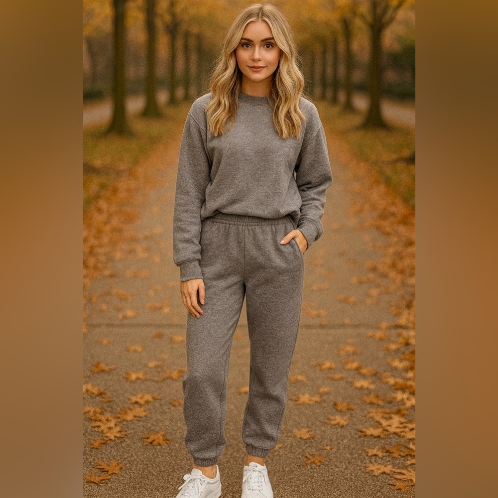 Wilfred Aritzia Heather Gray Joggers oversized cozy Fleece inner size XS fits S‌